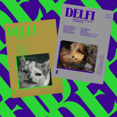 Bild für Kategorie Delfi - Magazin für neue Literatur