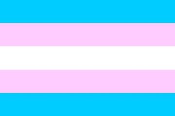 Bild von Aufkleber Transgender Flagge