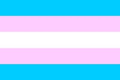 Bild von Aufkleber Transgender Flagge