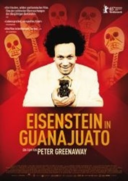 Bild von Eisenstein in Guanajuato (DVD)