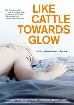 Bild von Like cattle towards glow (DVD)
