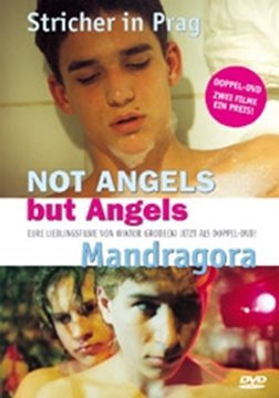 Image de Mandragora / Not Angels But Angels (DVD)