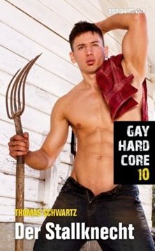 Bild von Gay Hardcore 10 - Der Stallknecht