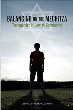 Bild von Dzmura, Noach: Balancing on the Mechitza