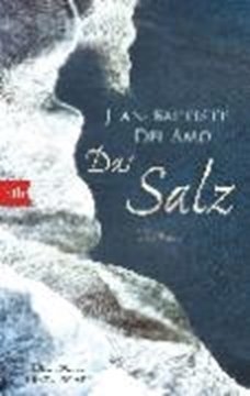 Image de Del Amo, Jean-Baptiste: Das Salz (eBook)