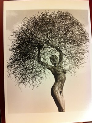 Bild von Postkarte - Neith with tumbleweed - Herb Ritts