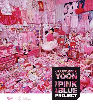 Bild von JeongMee Yoon: The Pink and Blue Project
