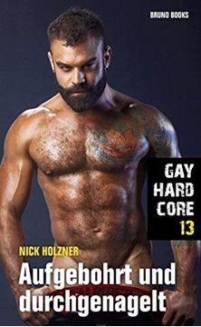 Image de Gay Hardcore 13 - Aufgebohrt und durchgenagelt (eBook)