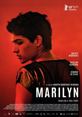 Bild von Marilyn (DVD)