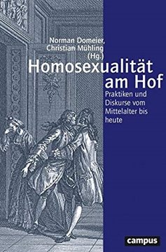 Bild von Domeier, Norman (Hrsg.): Homosexualität am Hof