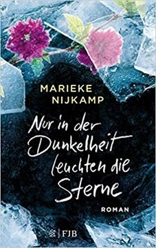 Image de Nijkamp, Marieke: Nur in der Dunkelheit leuchten die Sterne (eBook)