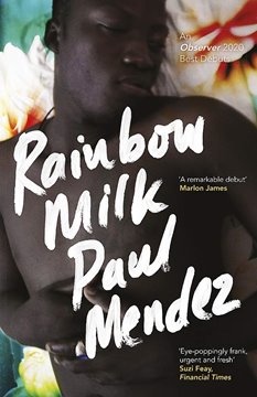 Bild von Mendez, Paul: Rainbow Milk