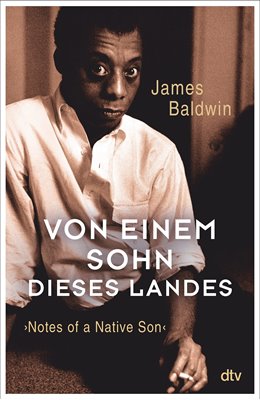 Bild von Baldwin, James: Von einem Sohn dieses Landes - Notes of a Native Son