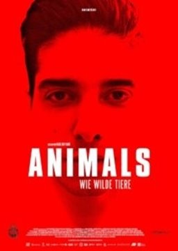 Image de Animals - Wie wilde Tiere (DVD