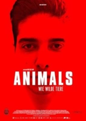 Image sur Animals - Wie wilde Tiere (DVD