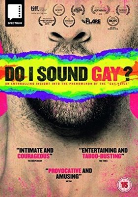 Bild von Do I sound Gay? (DVD)