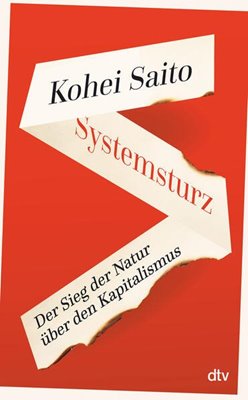 Image sur Saito, Kohei: Systemsturz