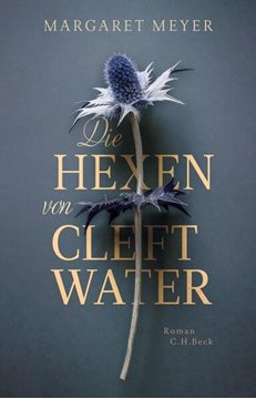 Image de Meyer, Margaret: Die Hexen von Cleftwater