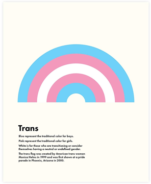 Bild von Print Trans Rainbow